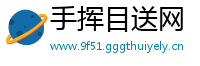 手挥目送网